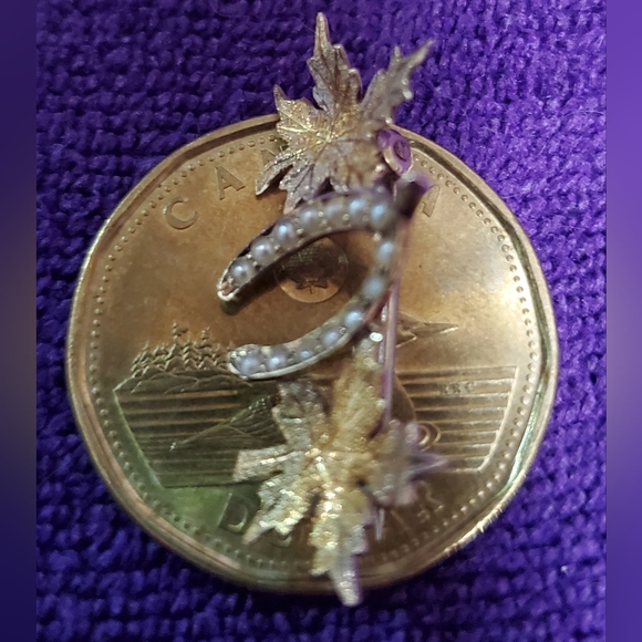 Victorian 14kg Brooch - Picture 9 of 9